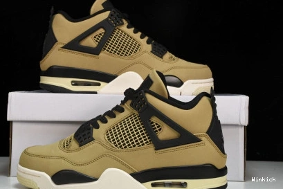 Jordan Fossil 4 Retro AQ9129-200  0809